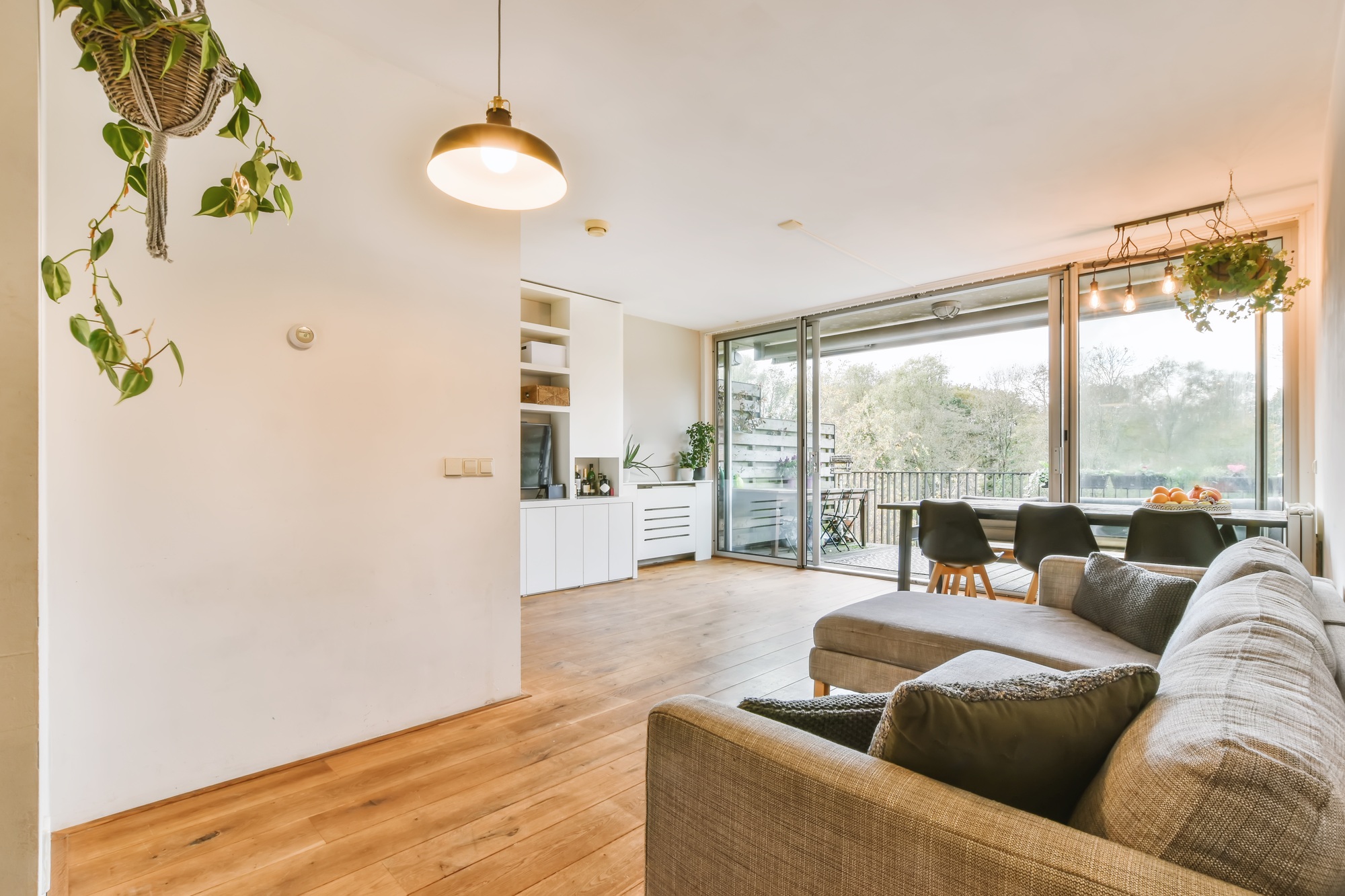 Cozy living room in apartment