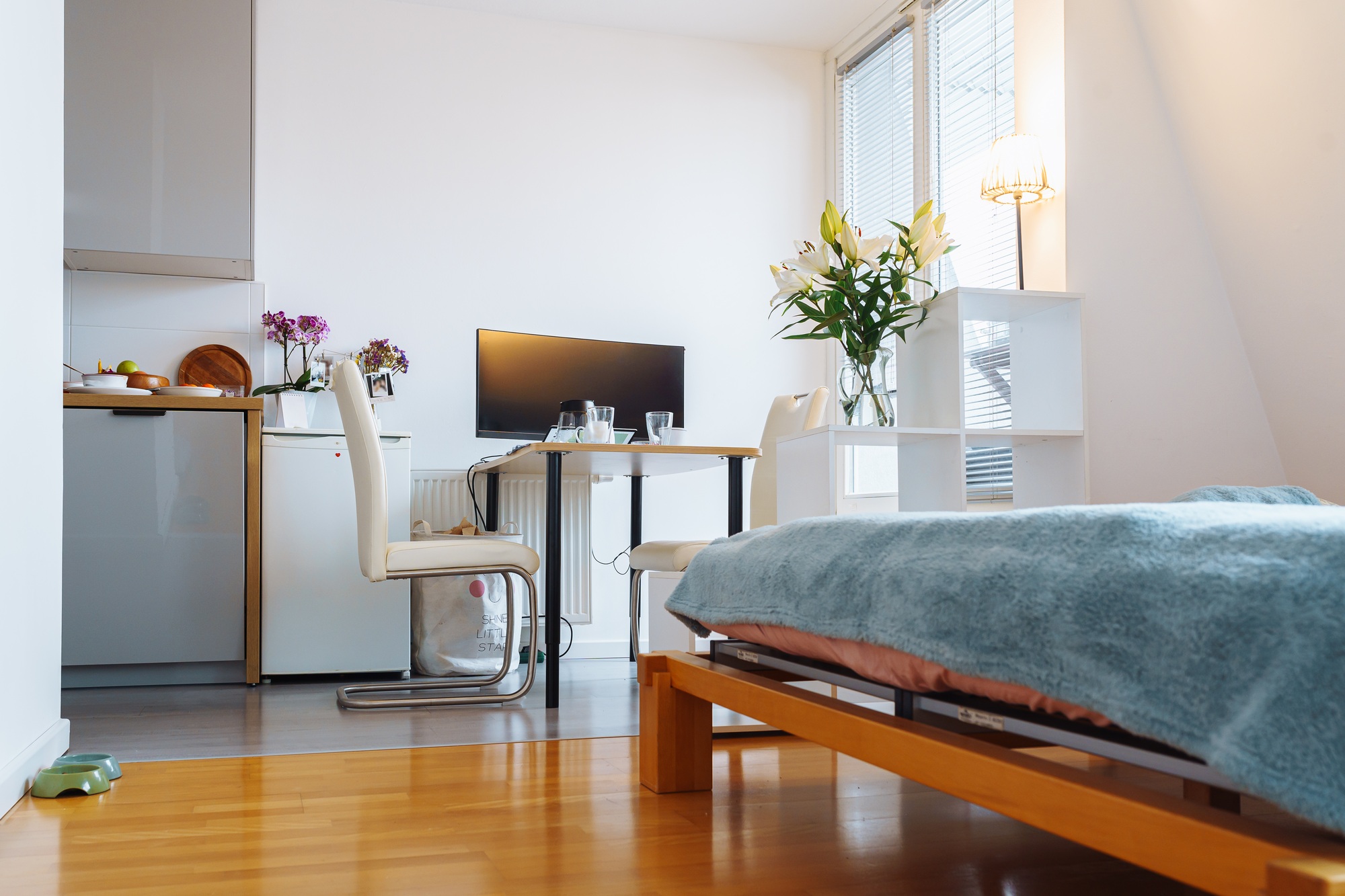 Studio apartment interior